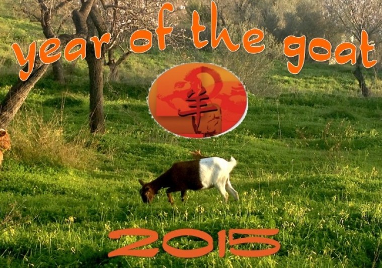 year of the goat